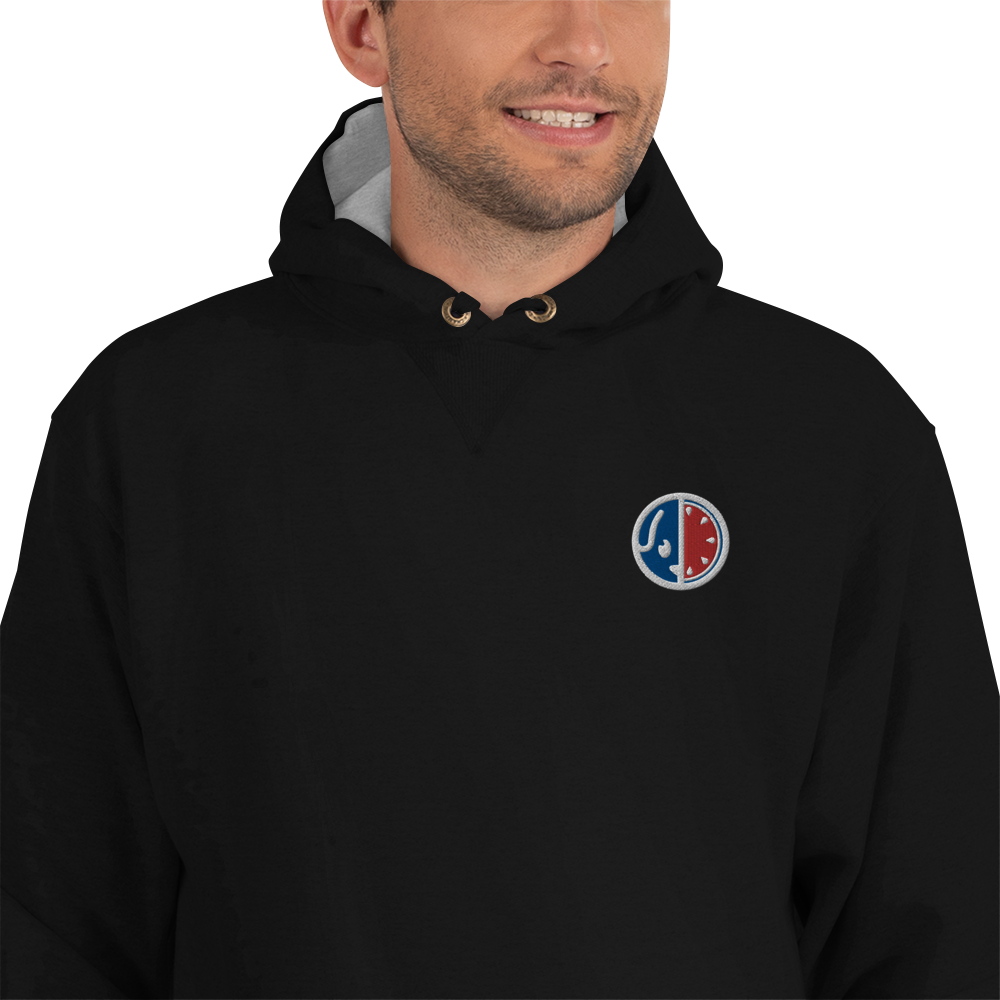 USA Embroidered Champion Hoodie (DUSTY)